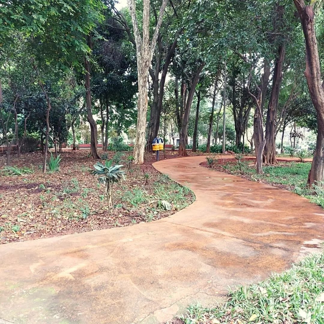Caminho arborizado da Praça Conde Francisco Matarazzo Júnior