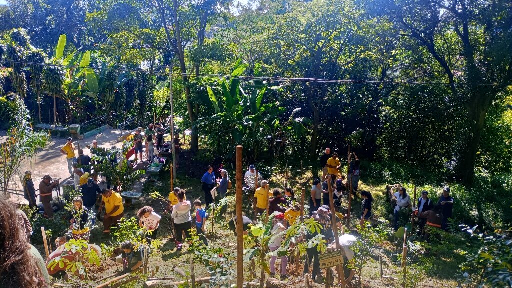 Moradores e equipe municipal participam do plantio na Praça Lola Brah