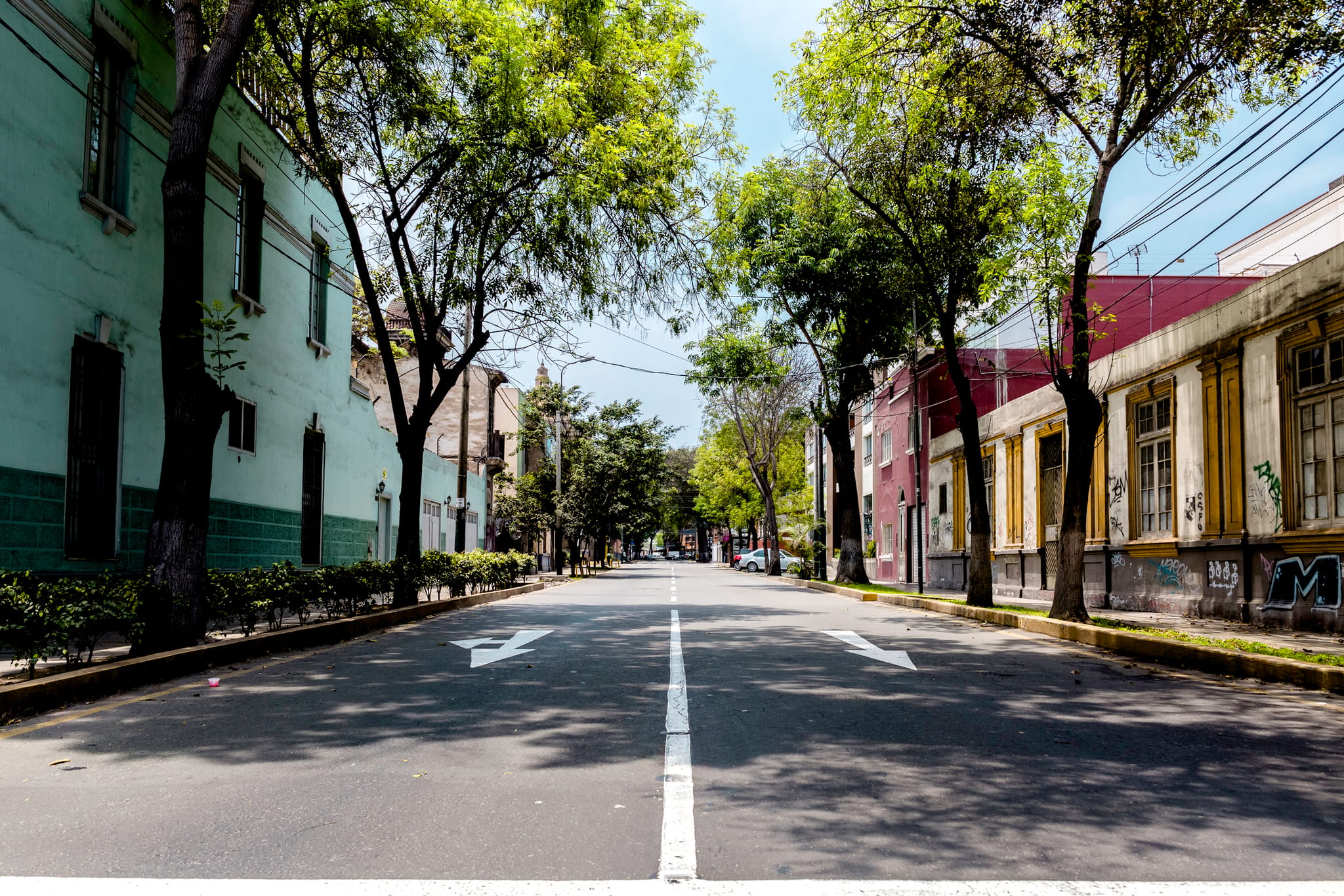 Rua residencial arborizada em Perdizes