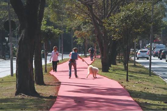 Ciclovia e canteiro central da Avenida Sumaré em Perdizes